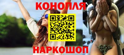 прущие грибы Моздок